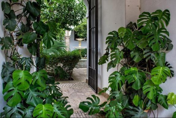 Apartamento en un dormitorio en Plaza Alfaro Sevilla Exterior foto